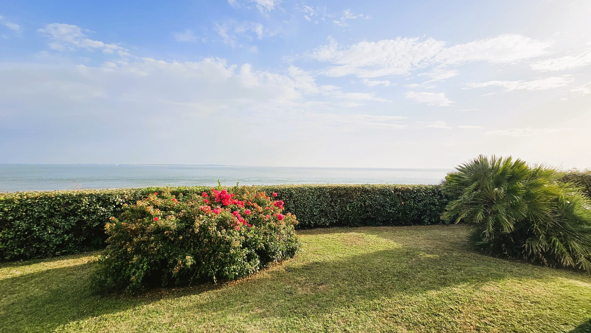 Property view 5