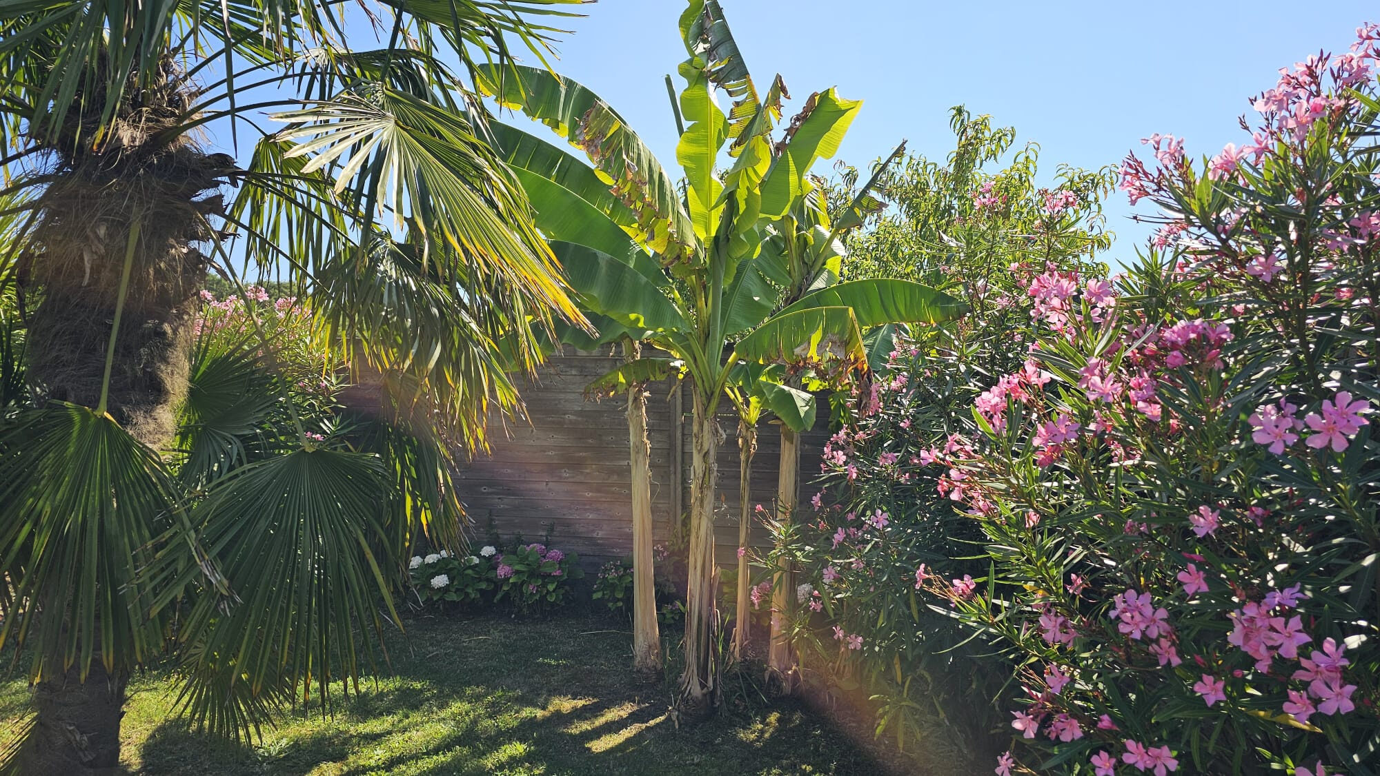 Property view 3