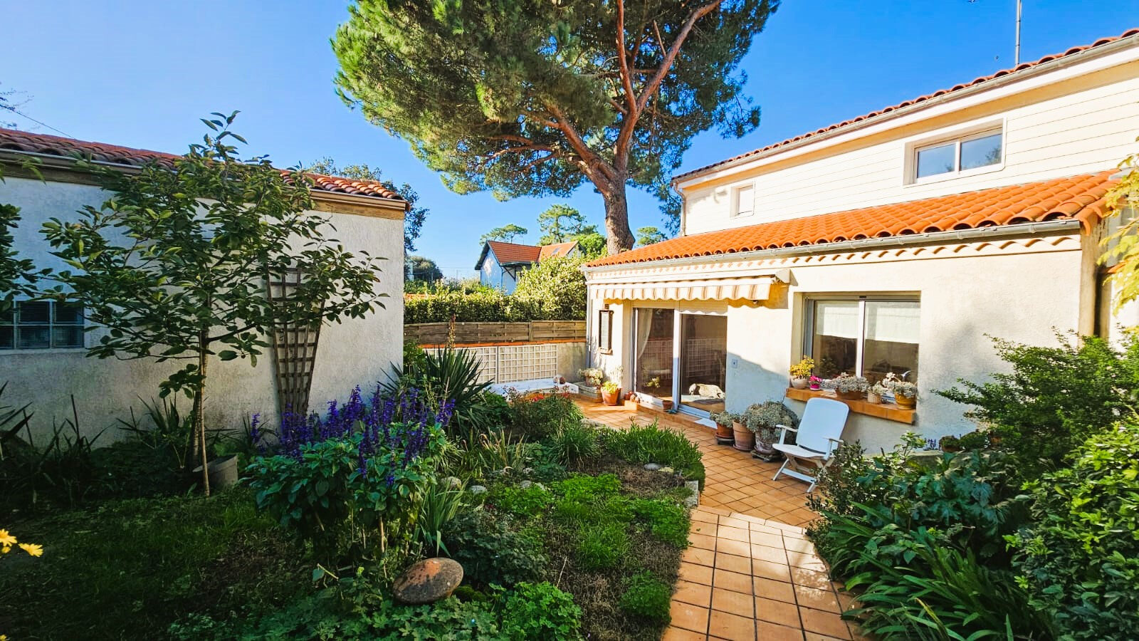 Property view