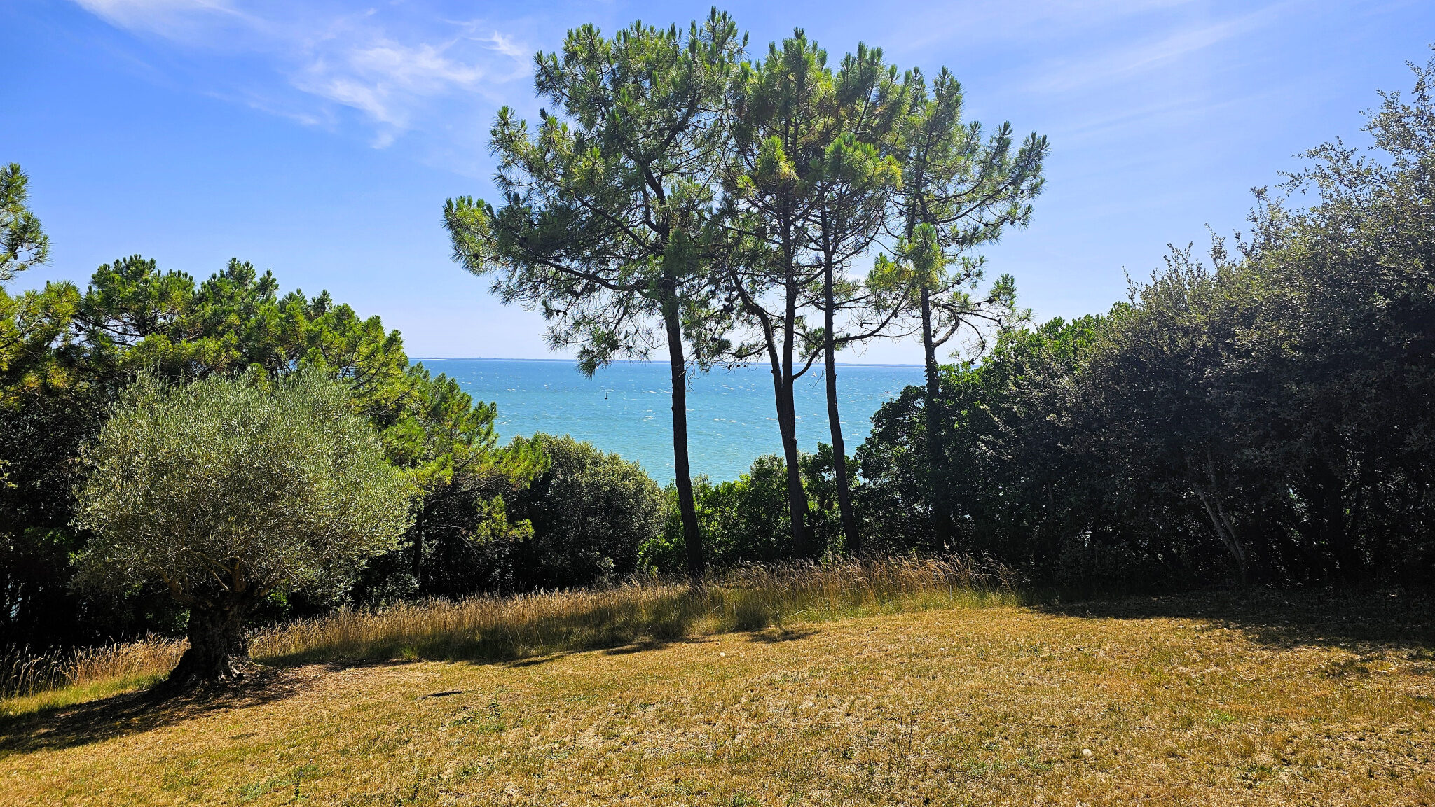 Property view 2
