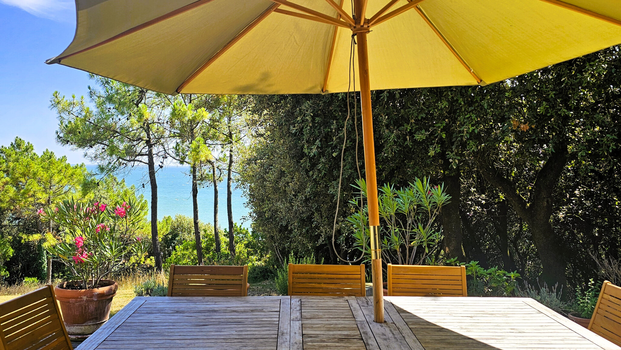 Property view 5