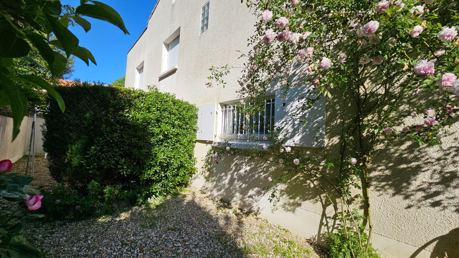 Property view 3