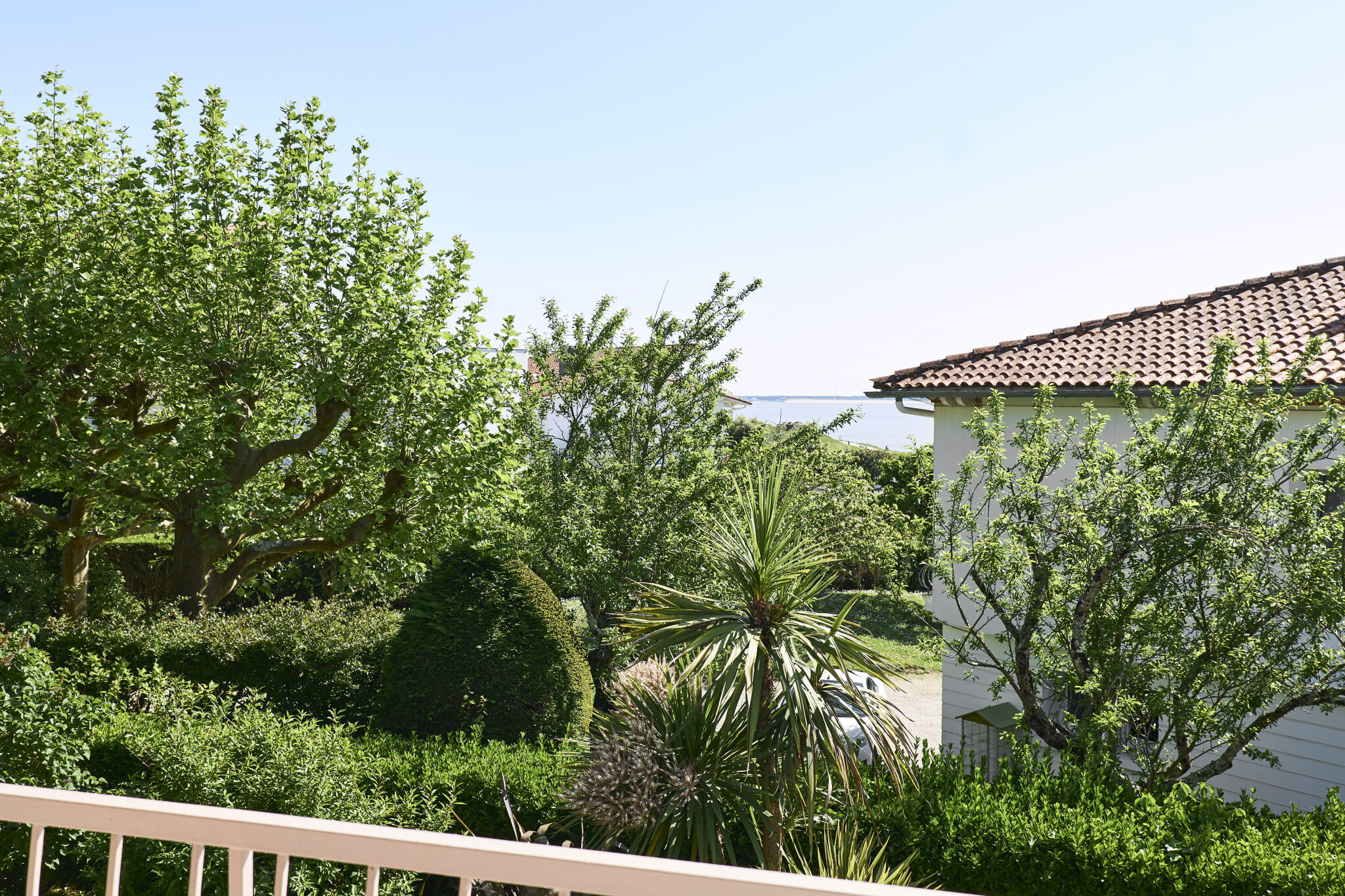 Property view 3