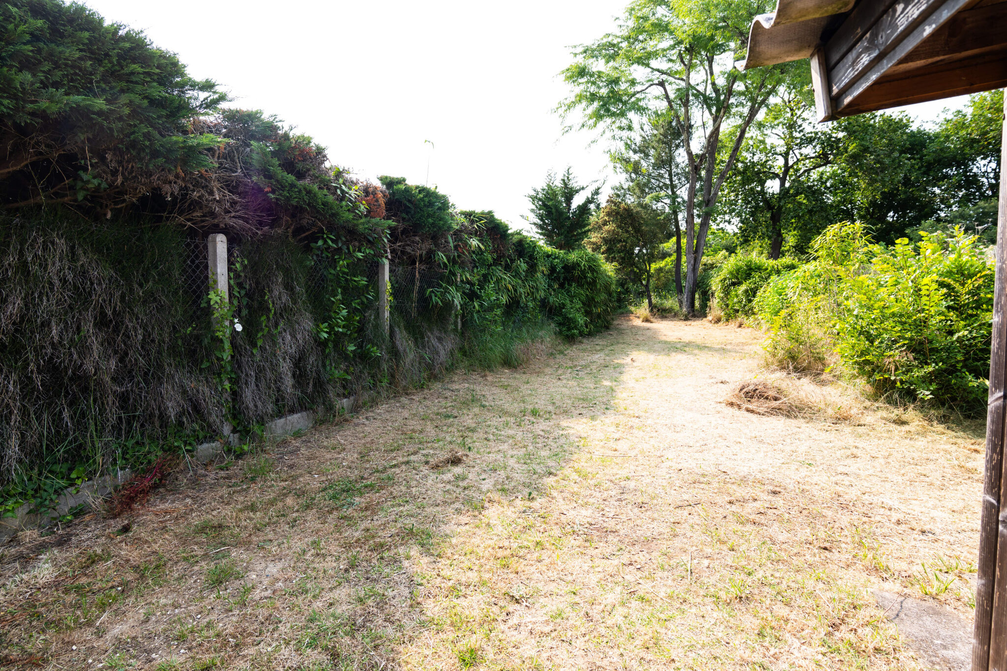 Property view 2