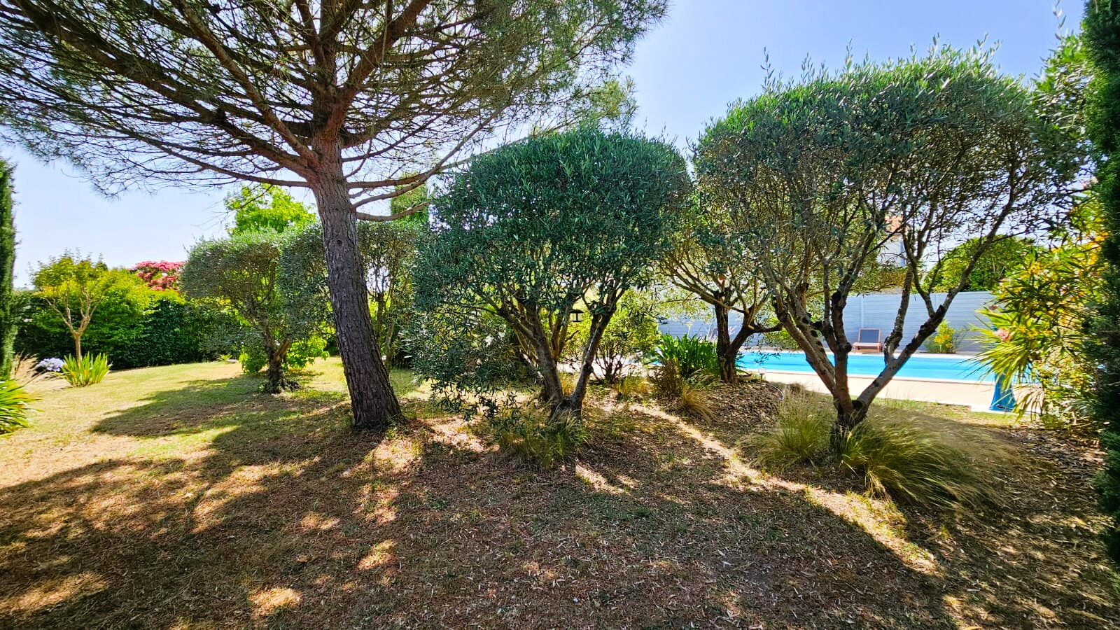 Property view 2