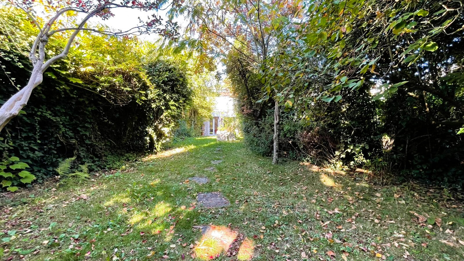 Property view 3